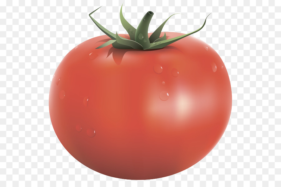 Tomate，Vegetal PNG