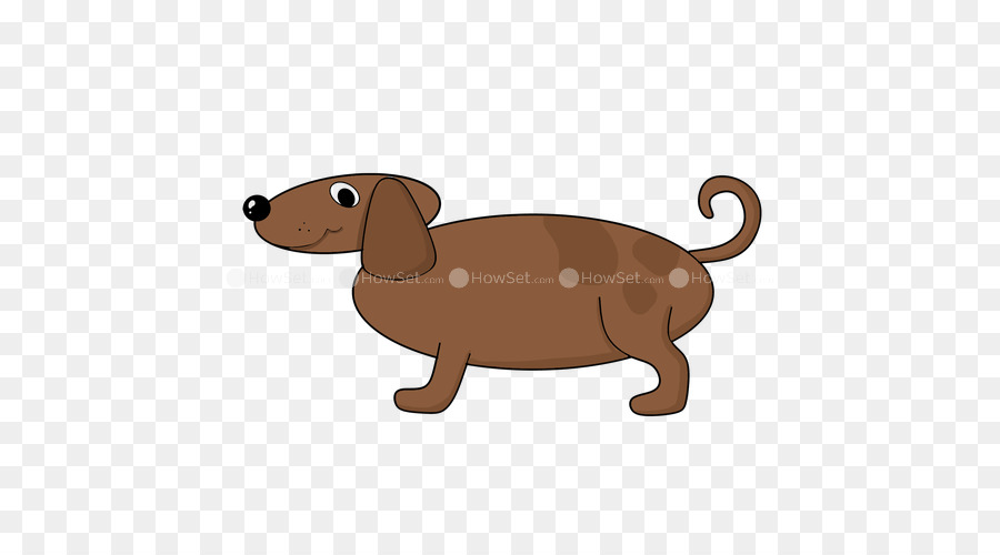 Cão，Desenho PNG