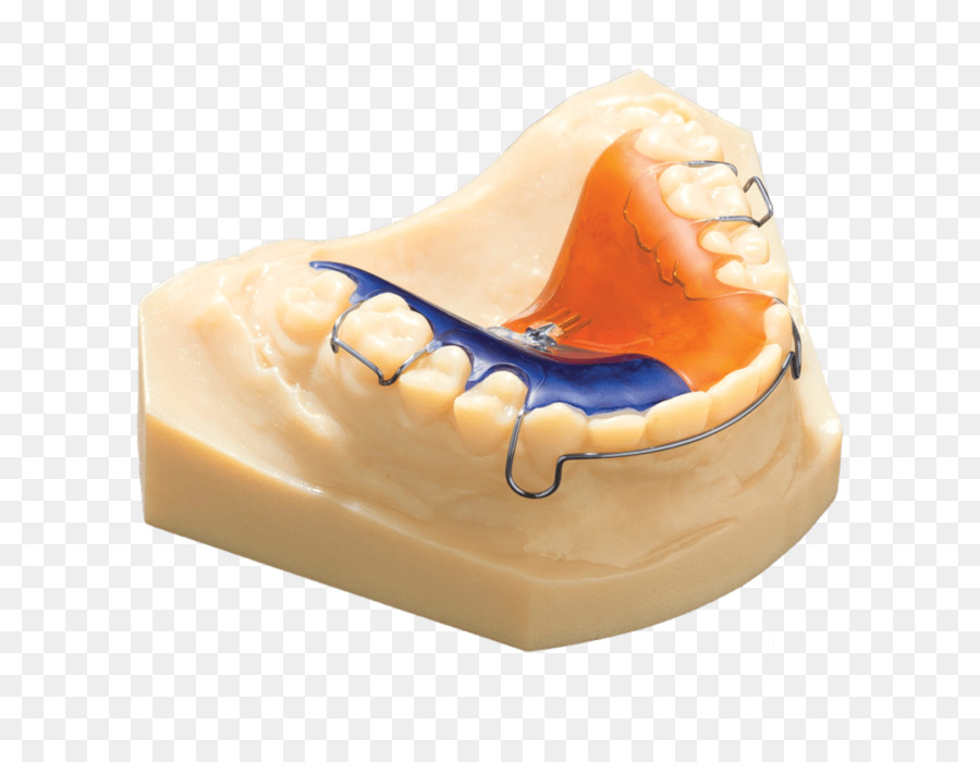 Modelo Dentário，Dentes PNG