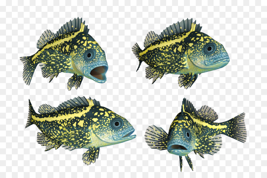 Peixe，Par PNG