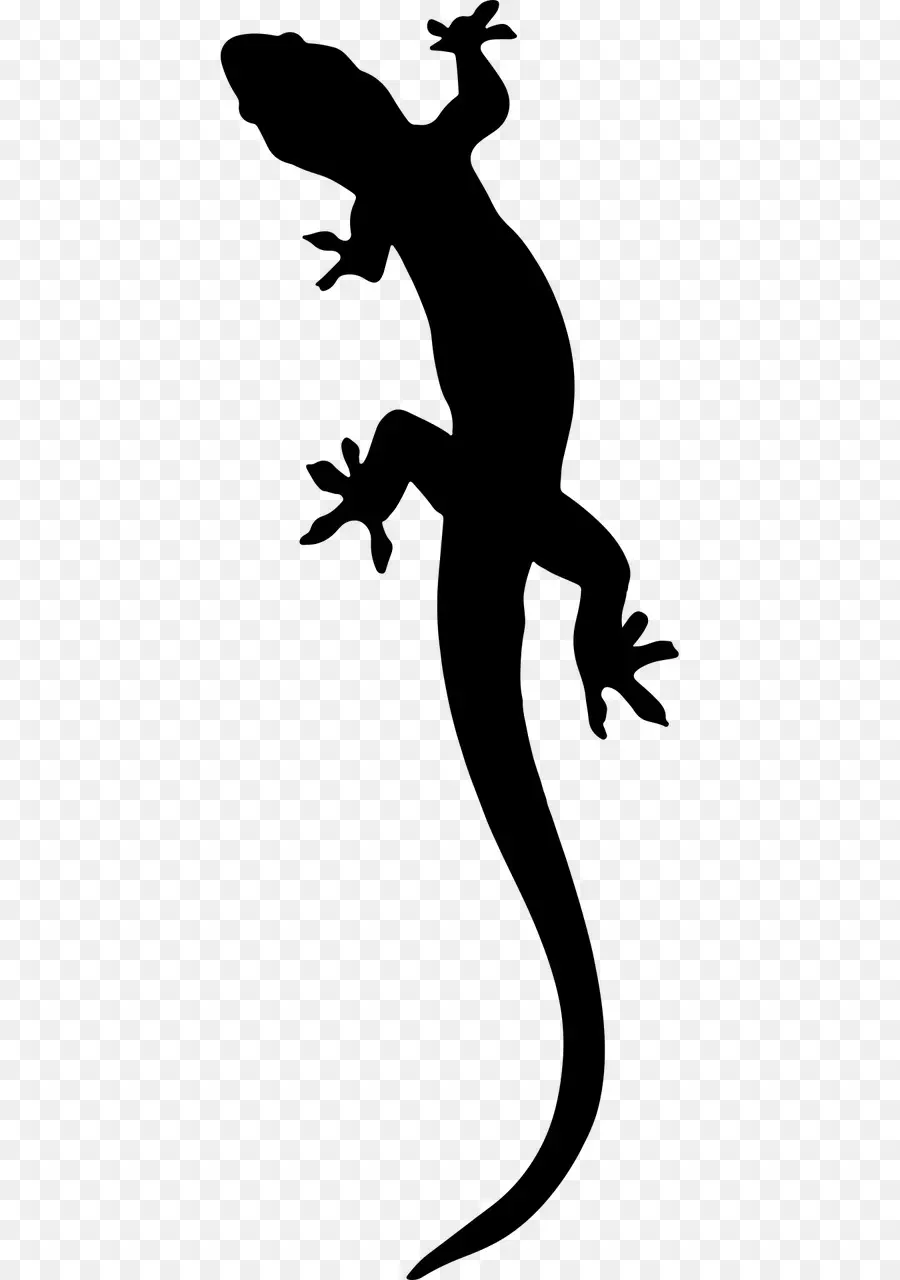 Lagarto，Gecko PNG