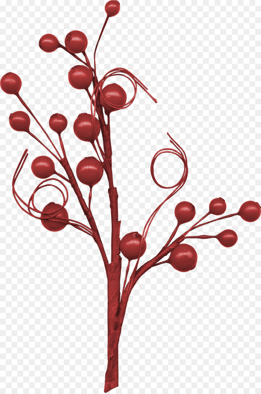 Download，Berry PNG