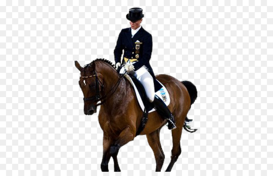 Cavalo，Jogos Olímpicos PNG