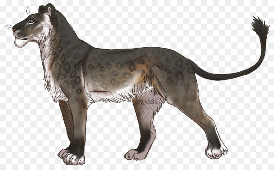 Leopardo，Pontos PNG