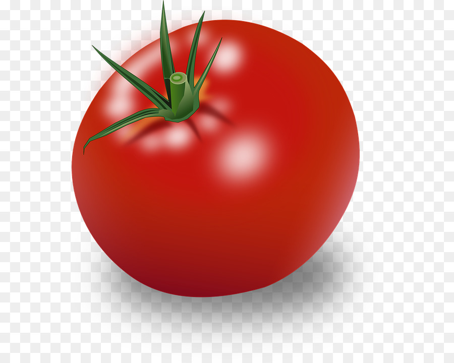 Tomate，Vegetal PNG