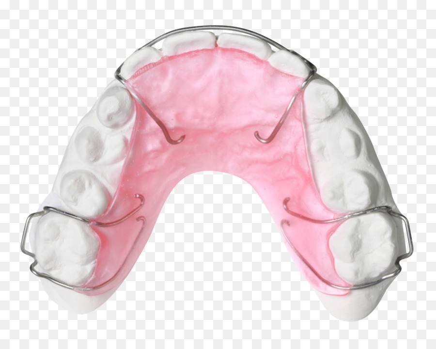 Retentor Dentário，Dentes PNG