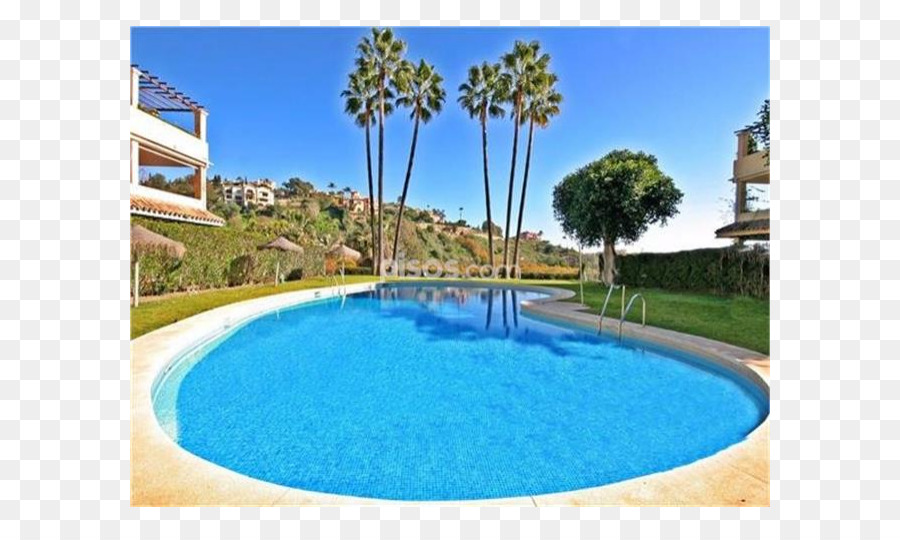 Piscina，Azul Majorelle PNG