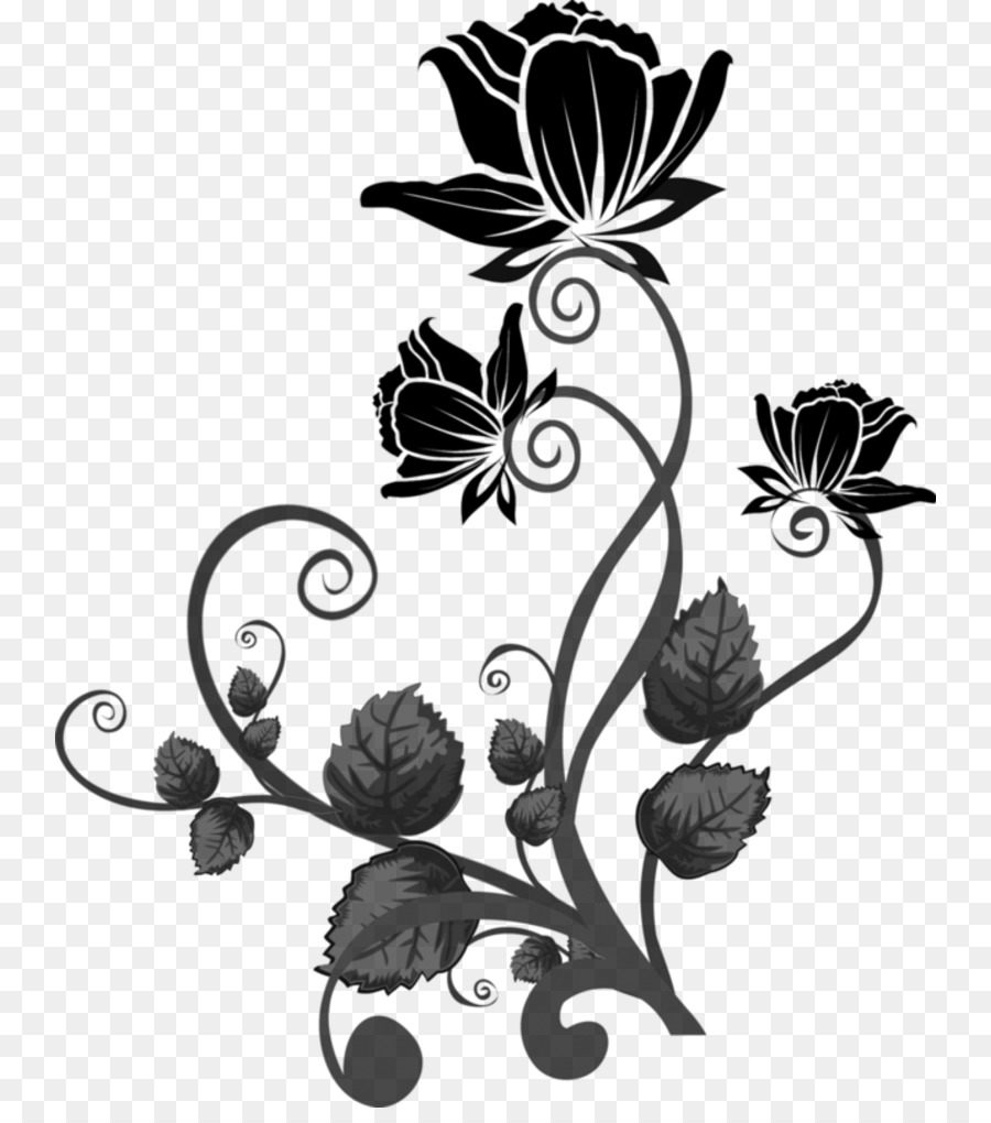 Desenho Floral，Folhas PNG