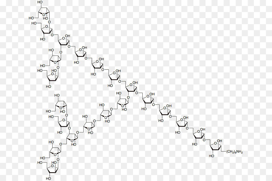 Química Glycosylation，Glycosylation PNG