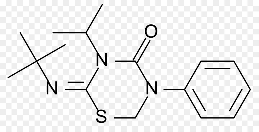 Sulfanilamide，Ampactivated Proteína Quinase PNG