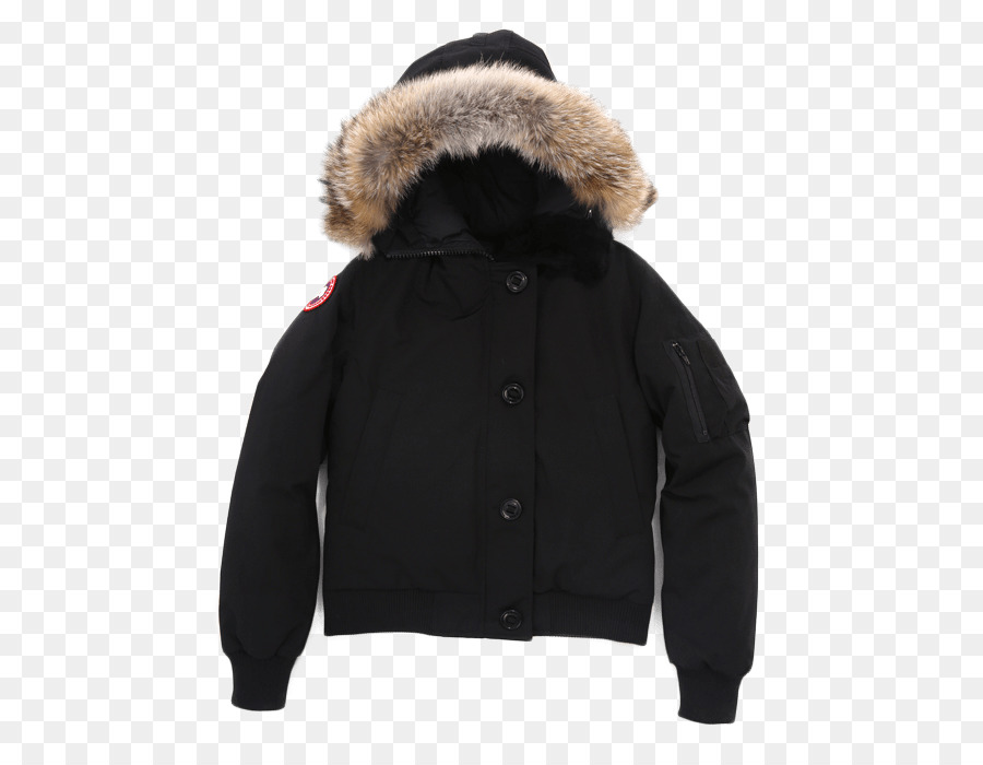 Ganso Do Canadá，Parka PNG