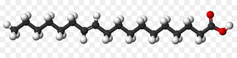 ácido Palmítico，A Gordura Saturada PNG