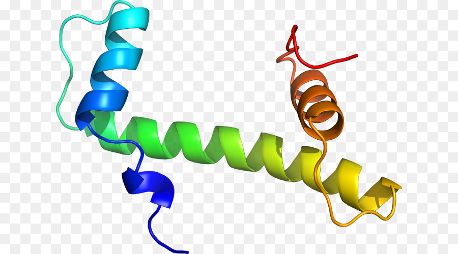 Estrutura Do Dna，Genética PNG