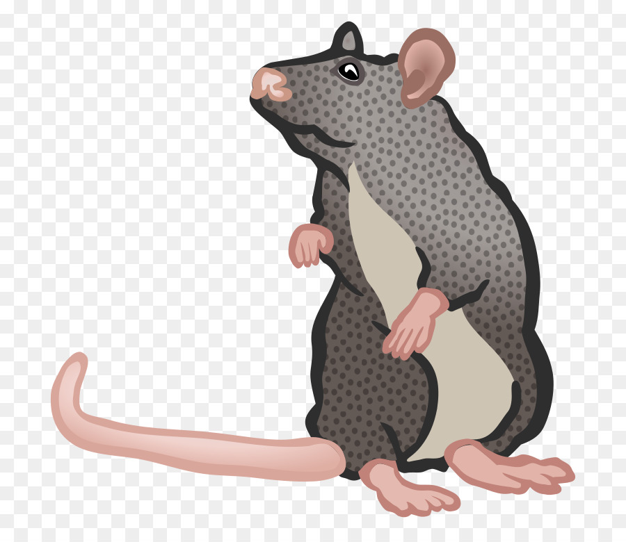 Mouse，Blog PNG