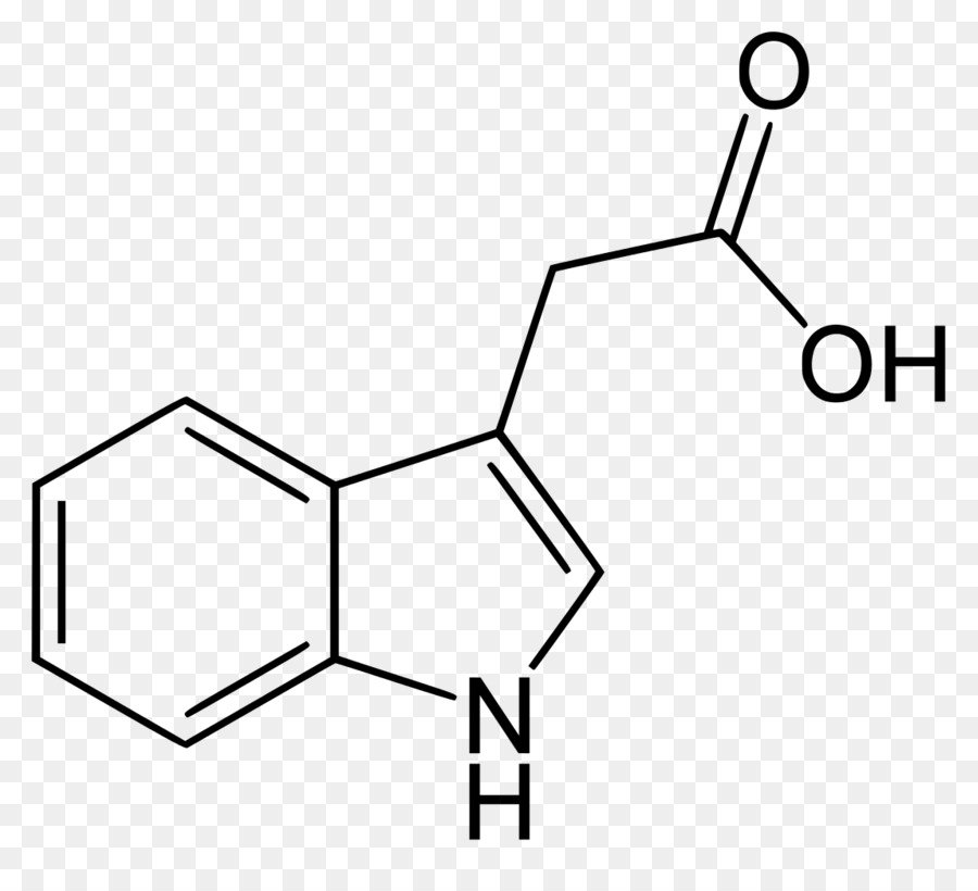 Estrutura Química，Molécula PNG