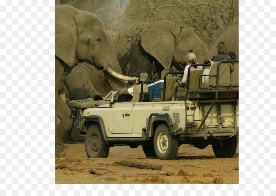 O Parque Nacional De Chobe，Delta Do Okavango PNG