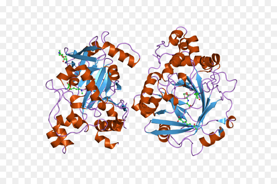 Kdm4a，Demethylase PNG