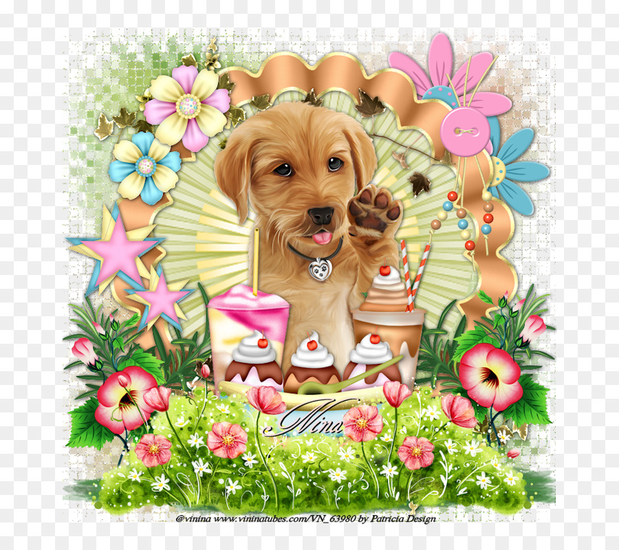 Golden Retriever，Filhote De Cachorro PNG