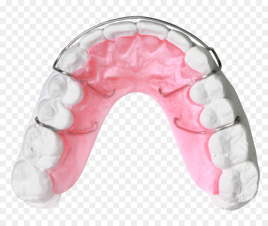 Retentor Dentário，Dentes PNG