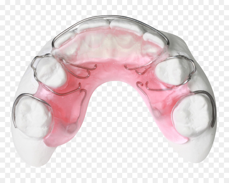 Retentor Dentário，Dentes PNG