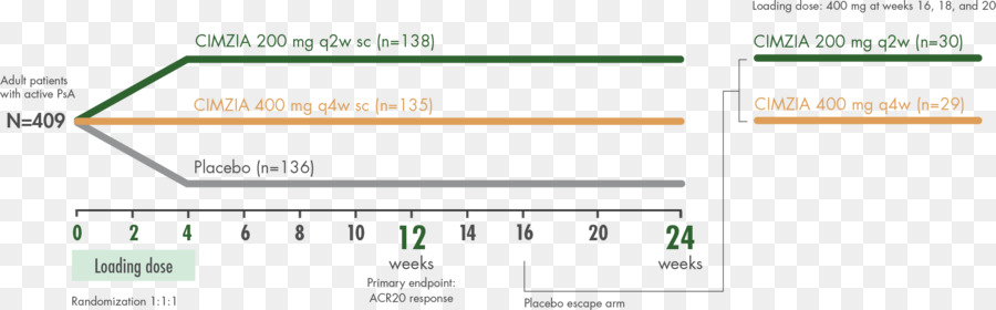 Certolizumabe Pegol，Estudo Clínico Design PNG