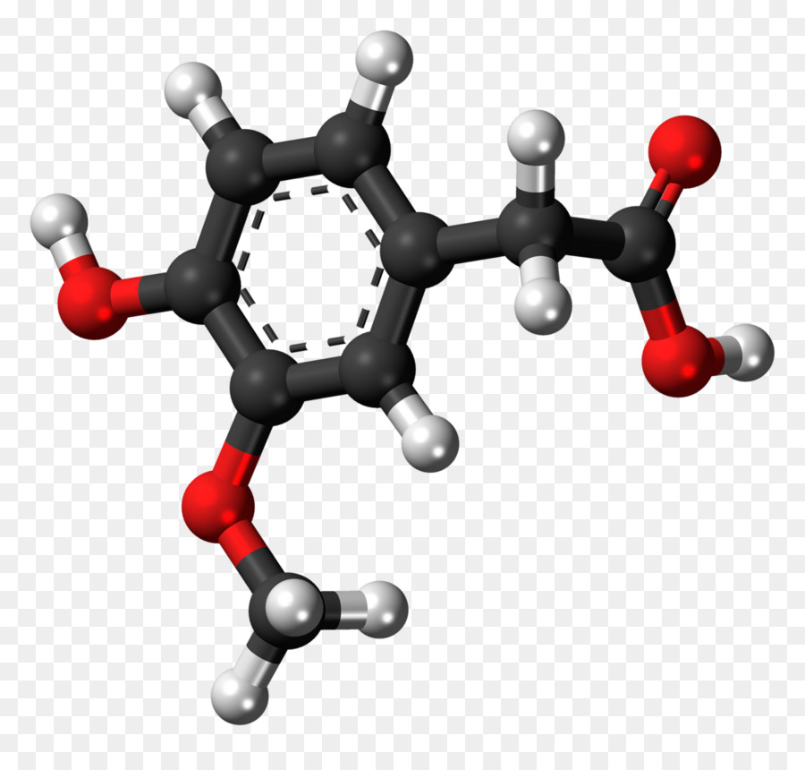 A Norepinefrina，A Dopamina PNG