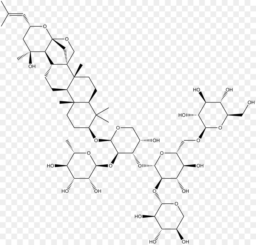 Estrutura Química，Molécula PNG