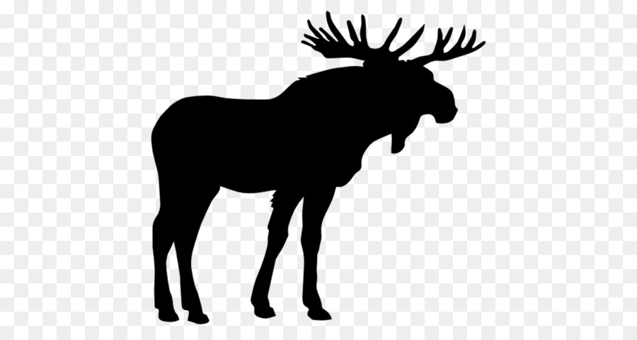Moose，Elk PNG