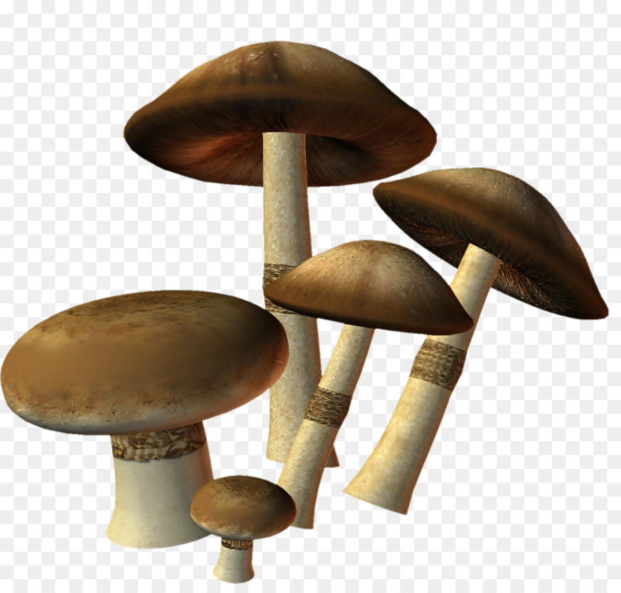 Cogumelos Vermelhos，Fungos PNG