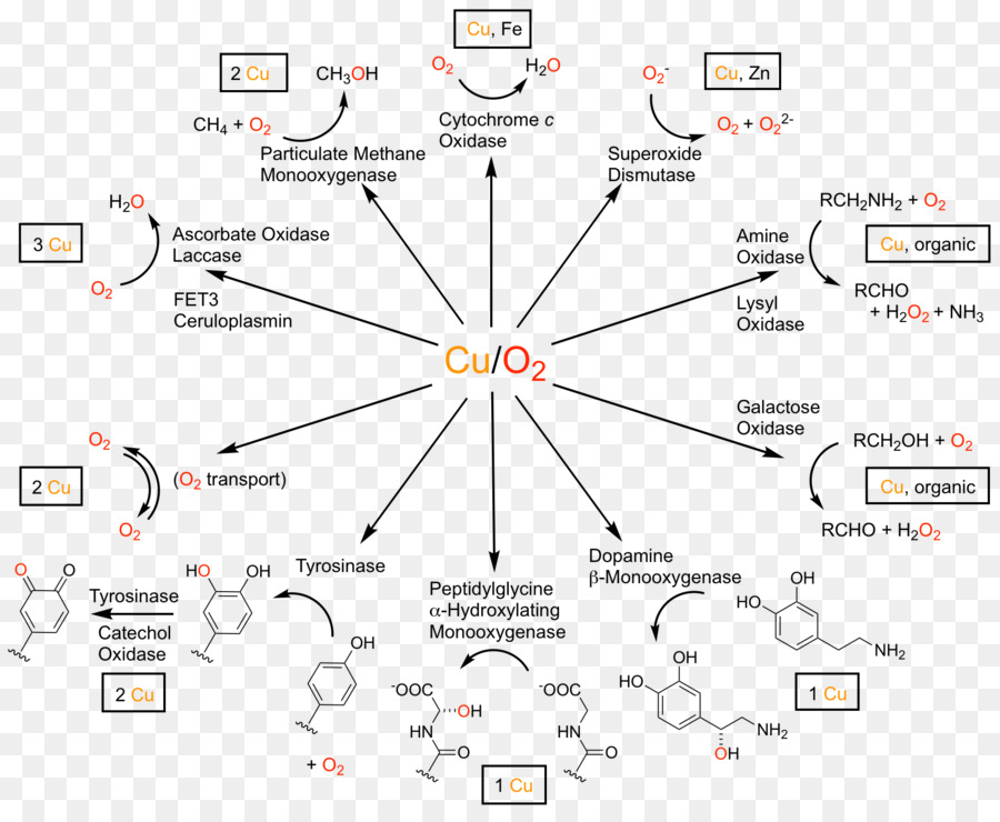 Reações Químicas，Química PNG