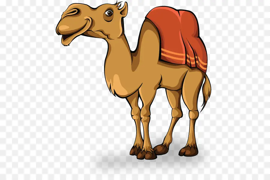 Camelo，Animação PNG