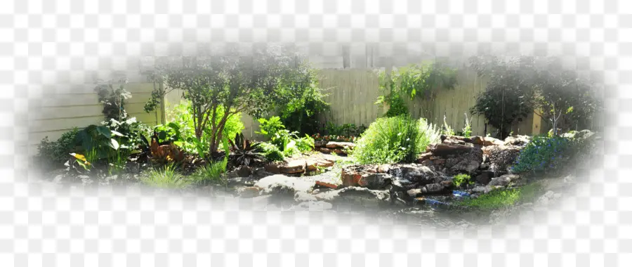 Jardim，Plantas PNG