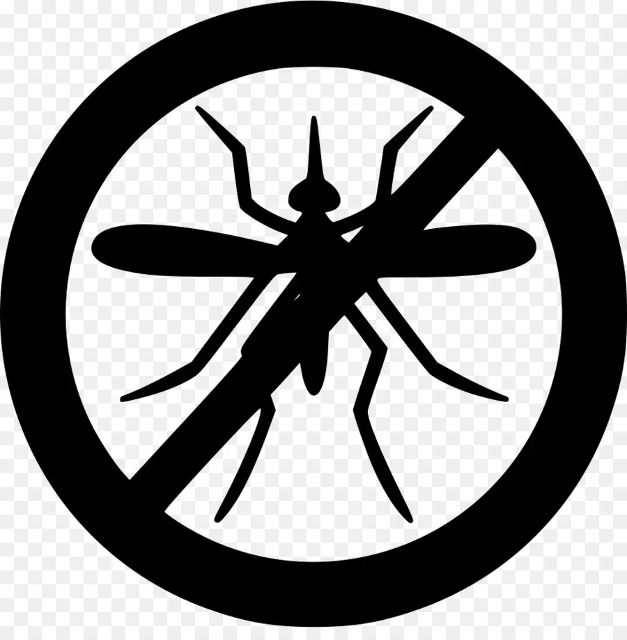 Mosquito，Não PNG