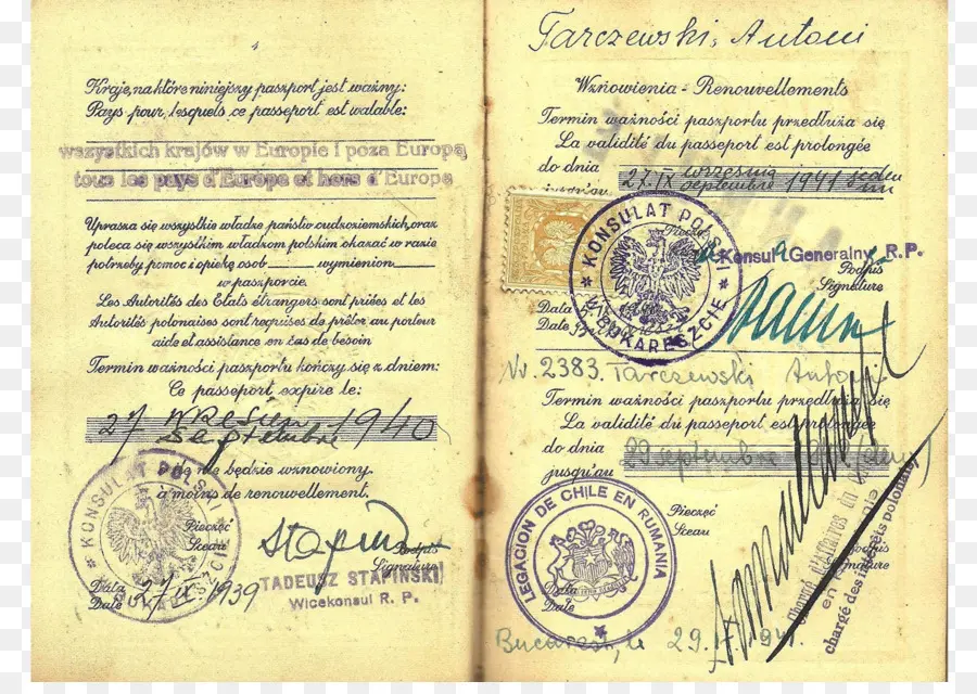 Passaporte，Selos PNG