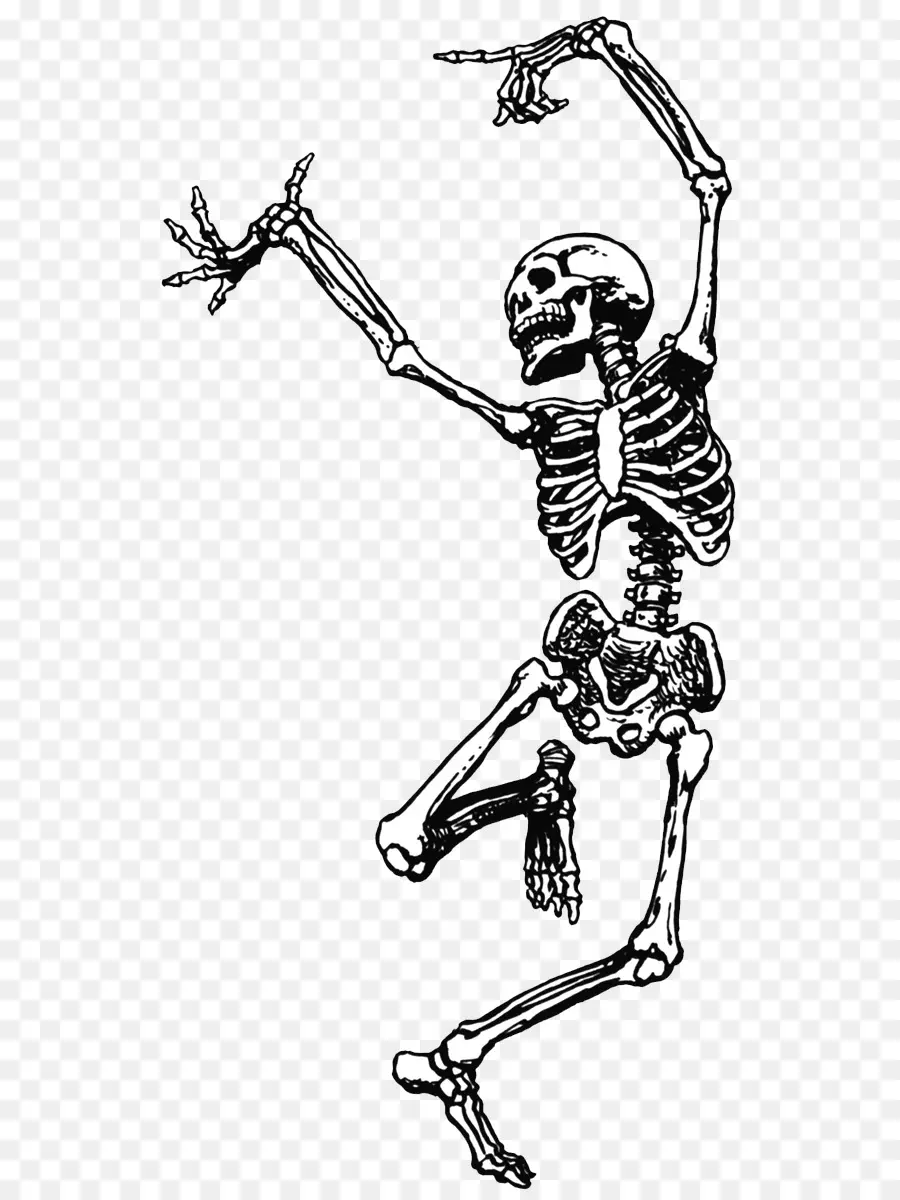 Esqueleto，Crânio PNG