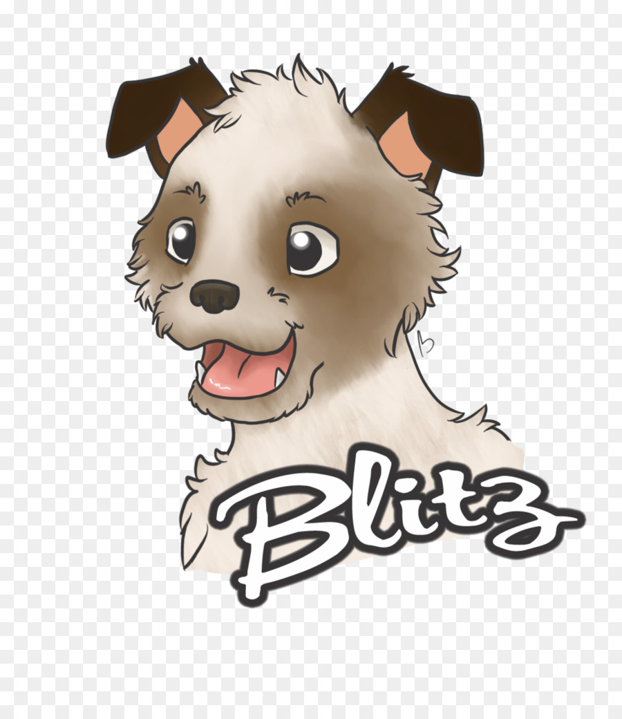 Cão，Gato PNG