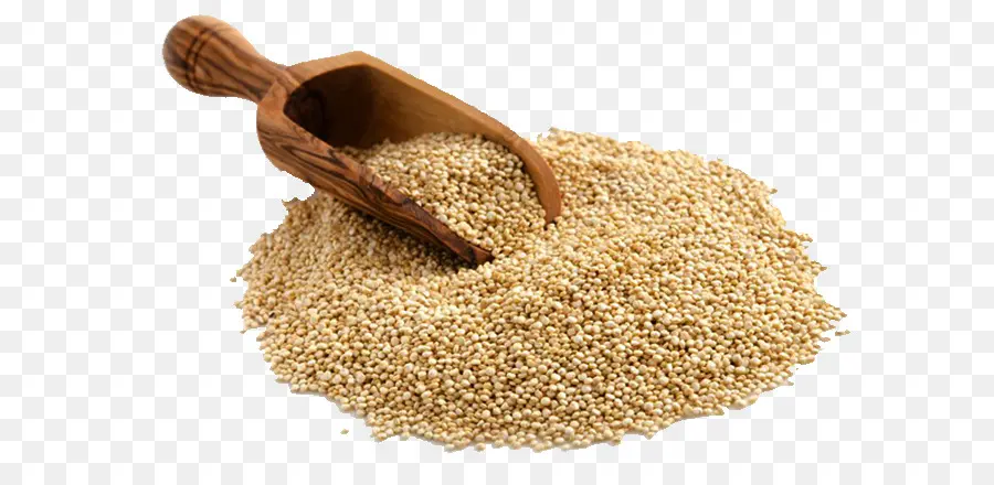 Quinoa，Germe De Cereais PNG