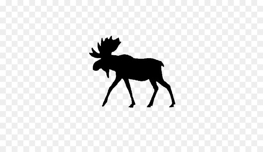 Moose，Veado PNG