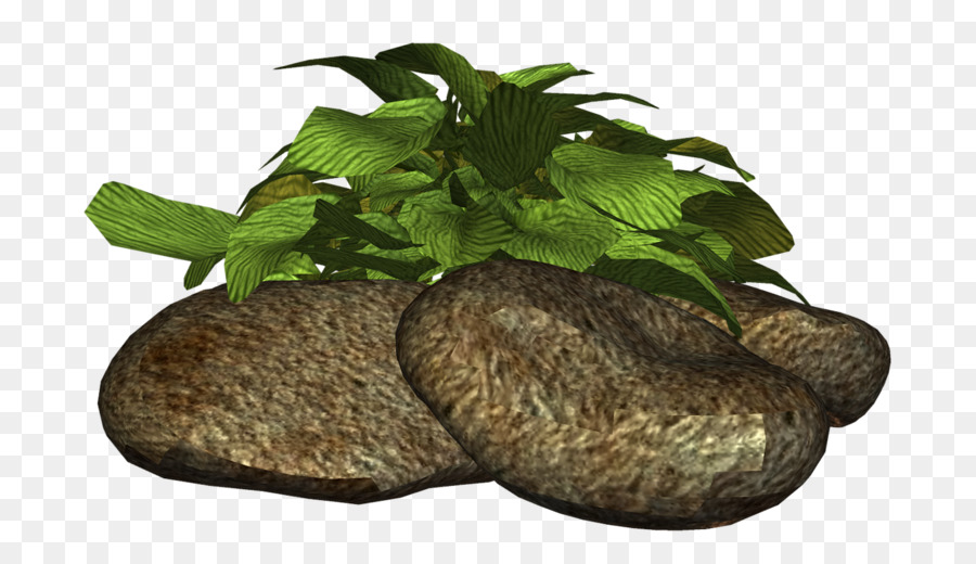 Vegetal，Alimentos PNG