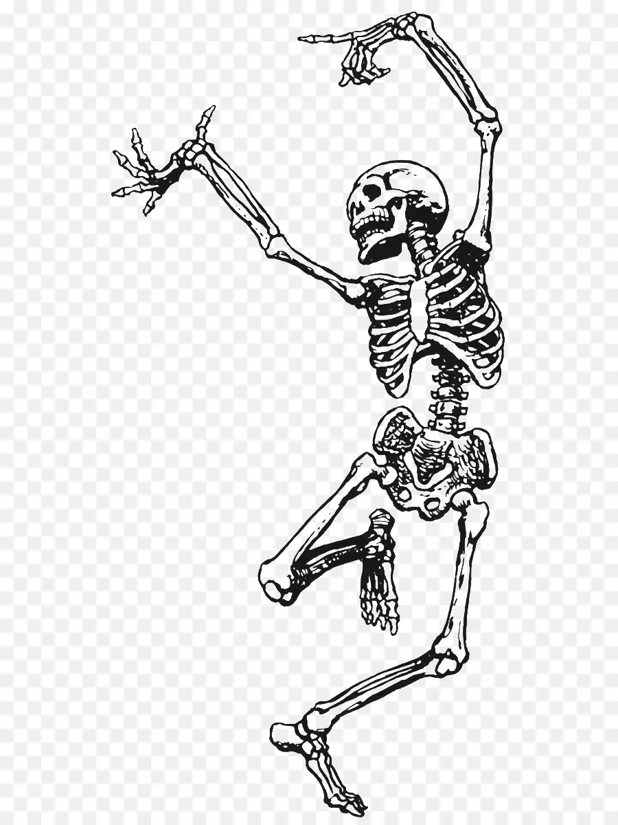 Esqueleto，A Morte PNG