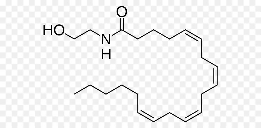 Estrutura Química，Molécula PNG