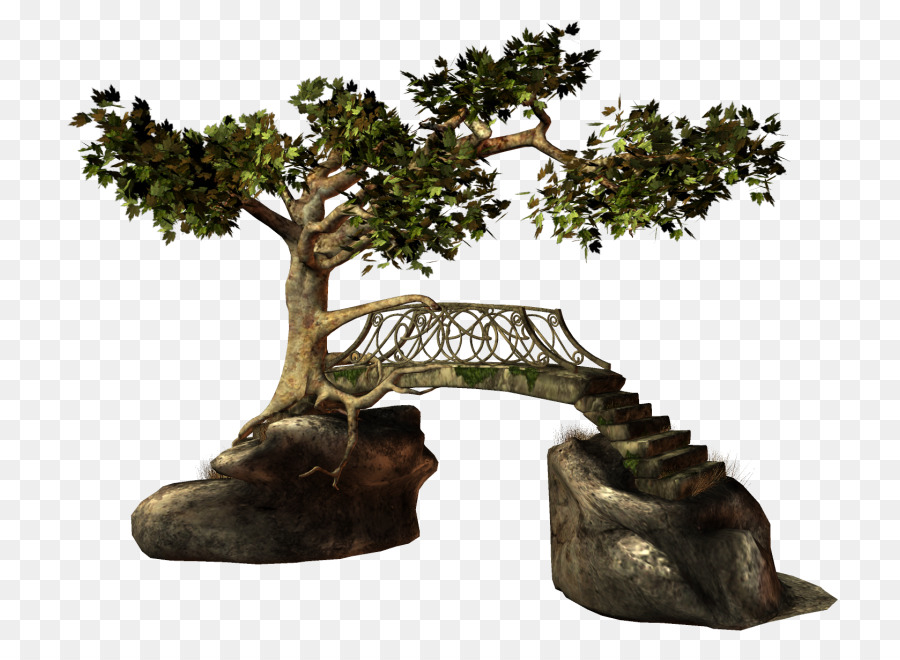 Ponte，árvore PNG