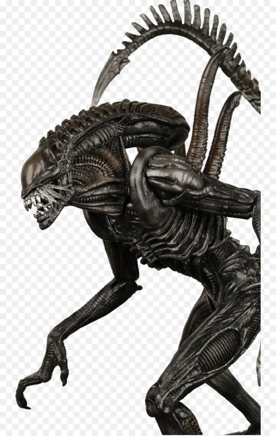 Alien，Predador PNG