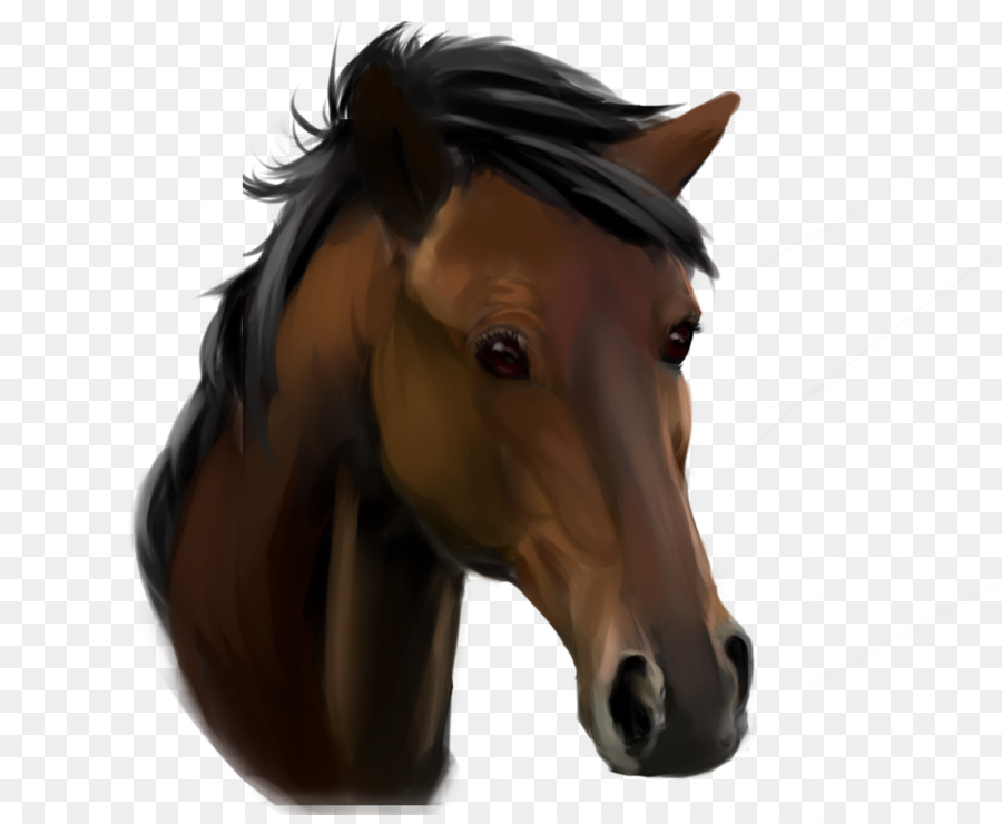 Mustang，De Pônei PNG