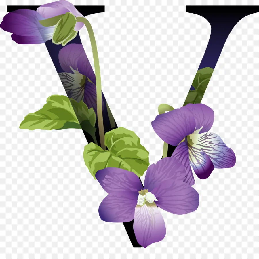 Letra V Com Flores，Alfabeto PNG