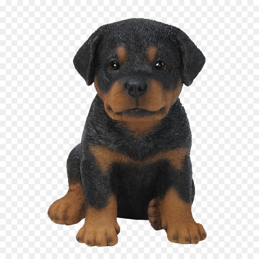 Rottweiler，Filhote De Cachorro PNG