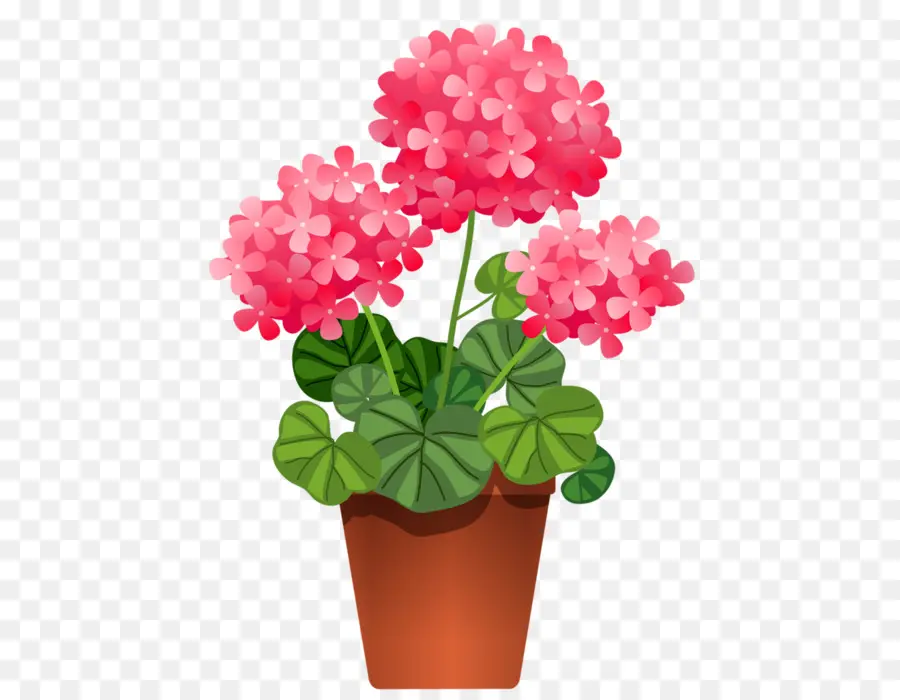 Flowerpot，Planta De Casa PNG