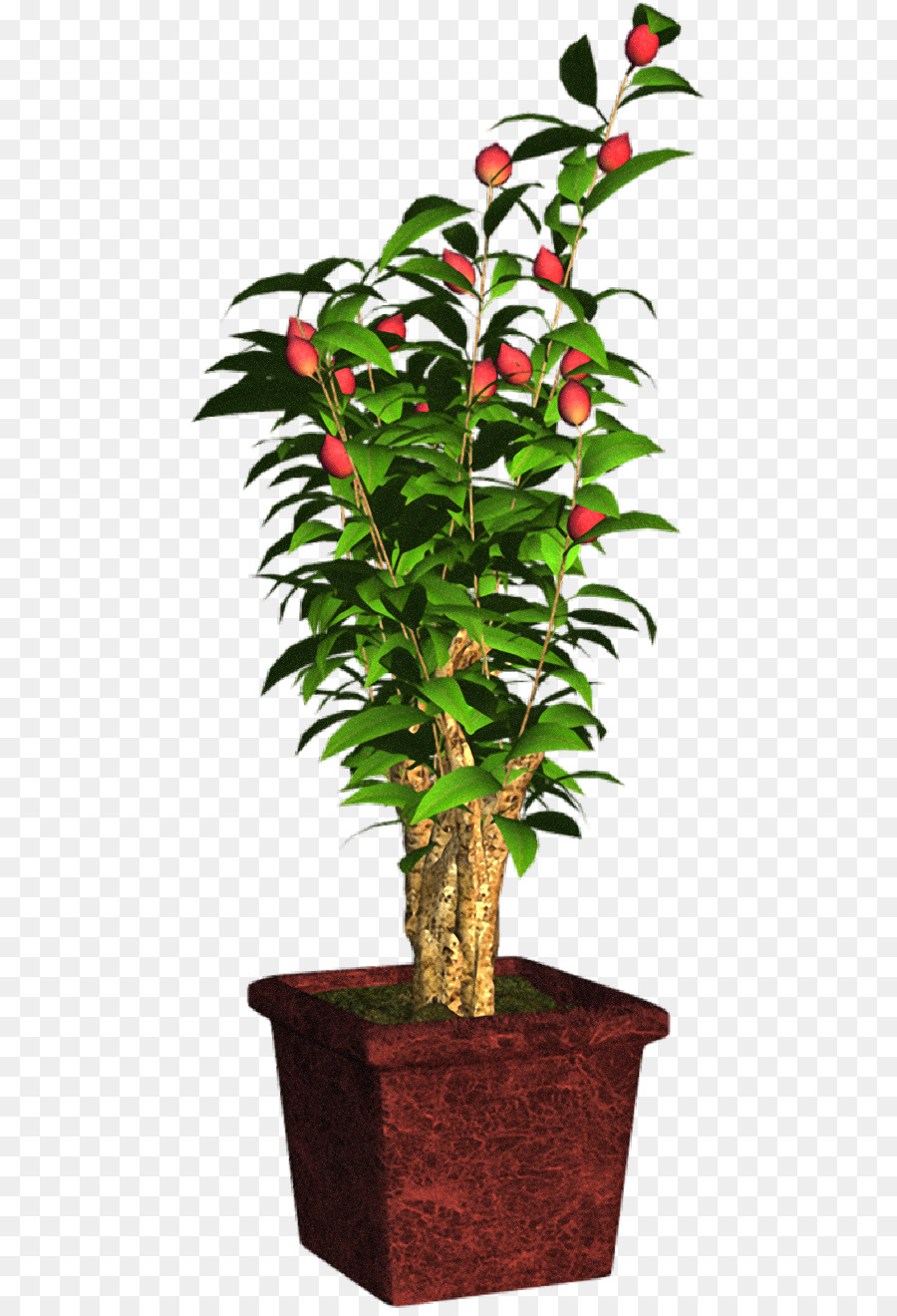 Planta Em Vaso，Interior PNG