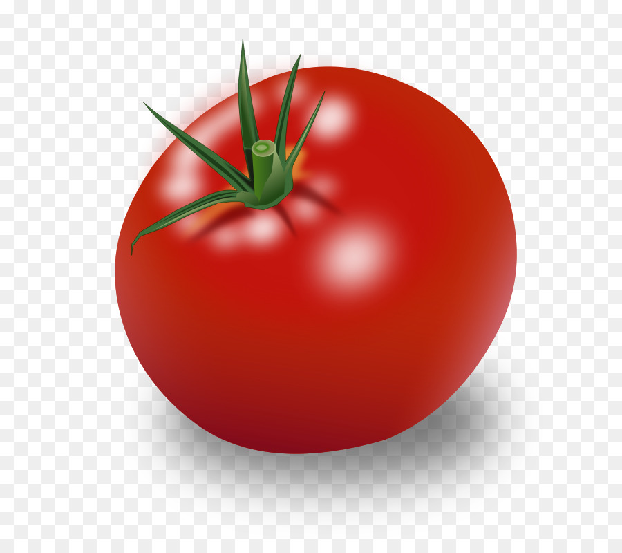 Tomate，Vegetal PNG