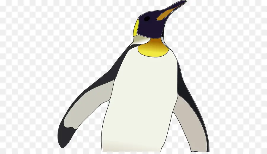 Pinguim，Pássaro PNG